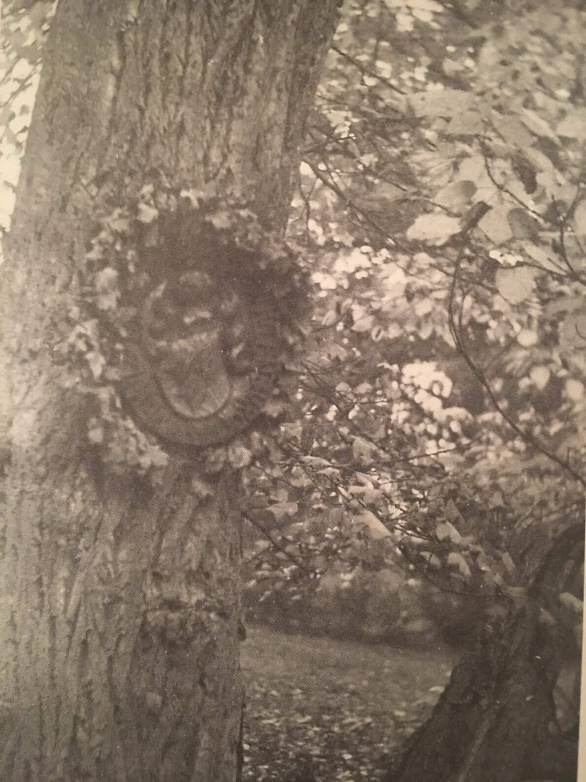 5 Wappenplatte im Trebbower Park, von Schulenburgs Schwester Tisa angefertigt und am 5. September 1944, seinem Geburtstag, angebracht. Name, Geburts- und Todesdatum wurden von einem Kranz bedeckt.